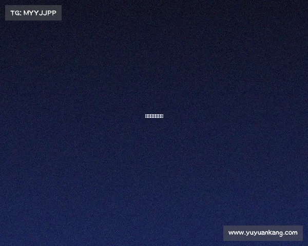 公路赛是啥意思